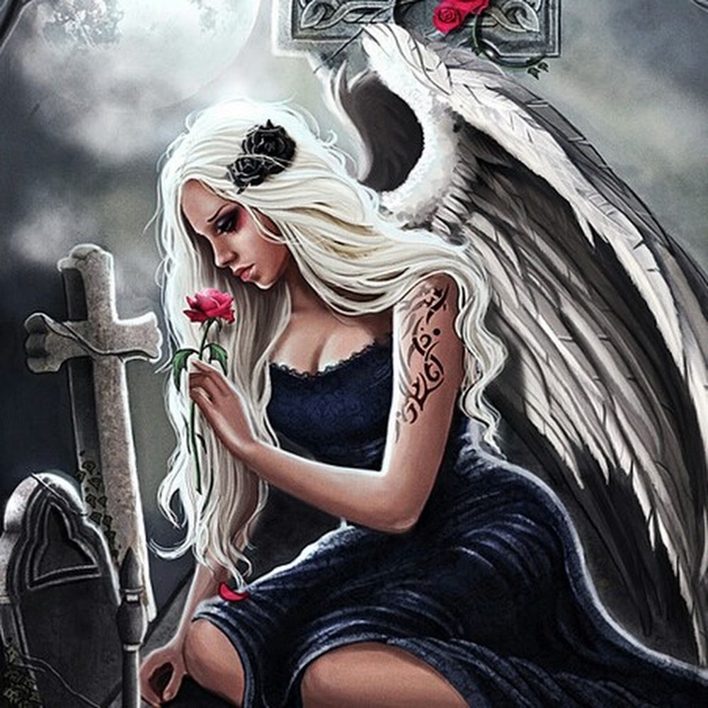 Meet your Posher, Miss Jo